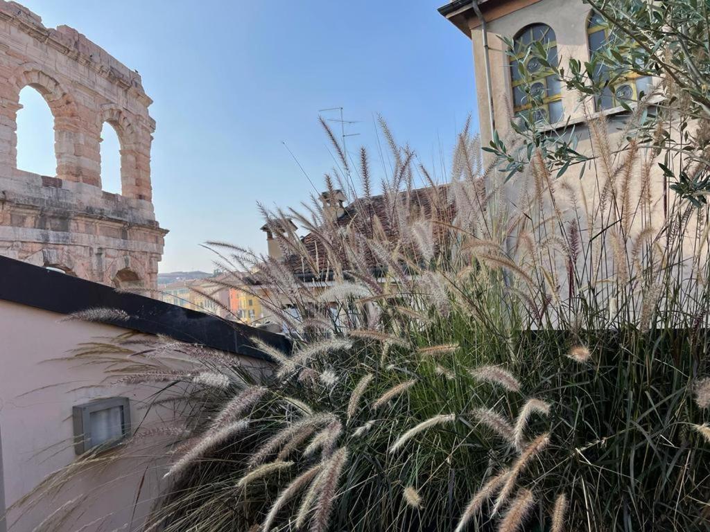 Apartamento La Terrazza Sull'Arena Verona Exterior foto