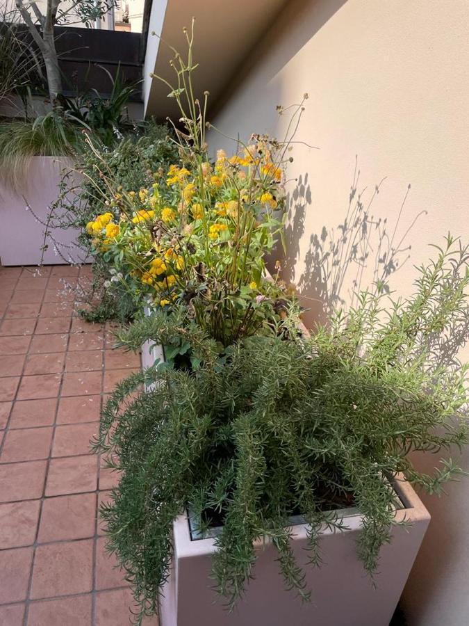 Apartamento La Terrazza Sull'Arena Verona Exterior foto