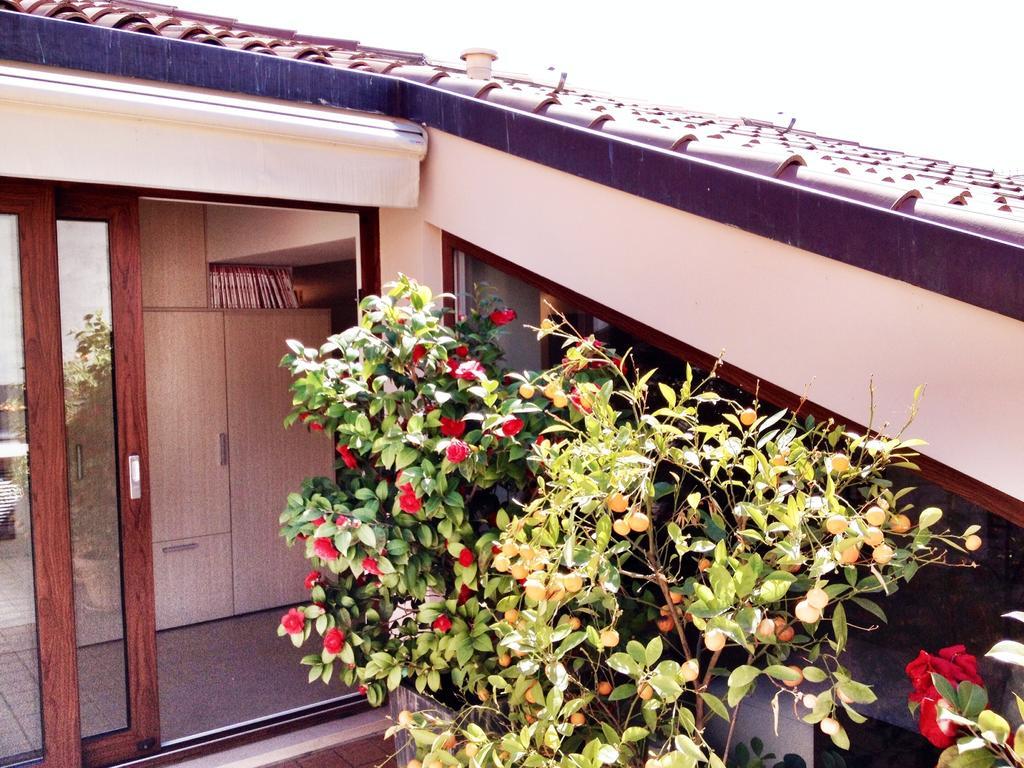 Apartamento La Terrazza Sull'Arena Verona Habitación foto